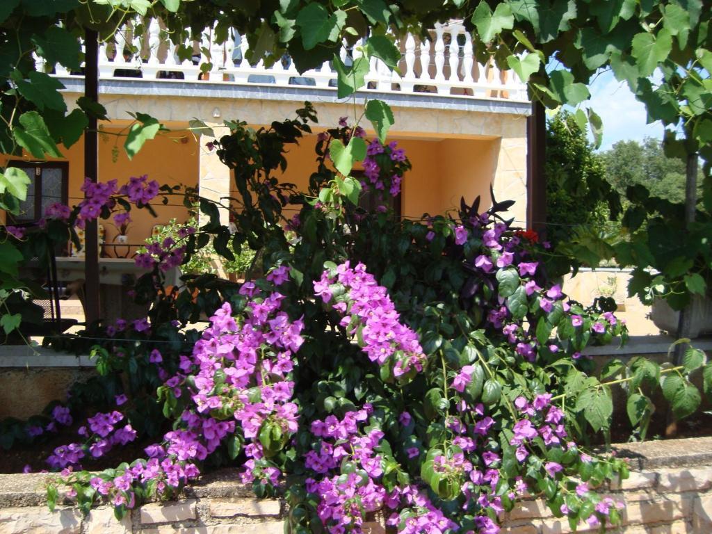 Apartments Alice Green Oasis - Poreč Pokój zdjęcie